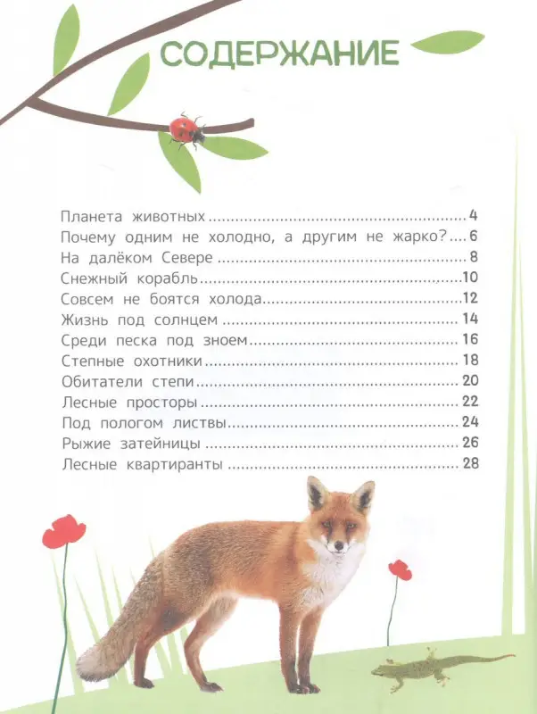 Животные. Энциклопедия для первого чтения с крупными буквами