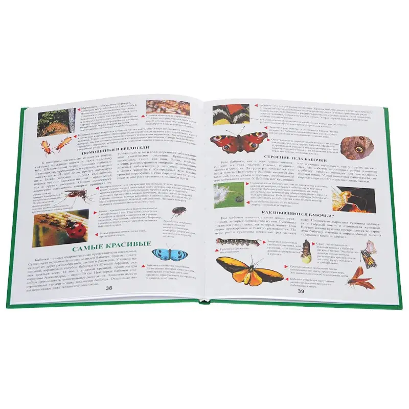 Уценка. Живая природа (978-985-539-326-0)