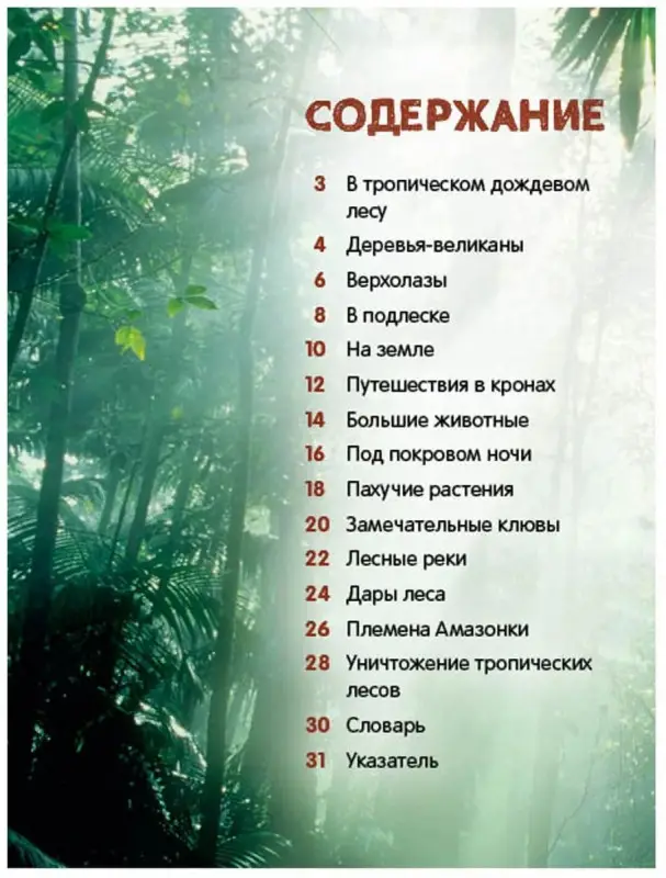 Джунгли. Энциклопедия для малышей