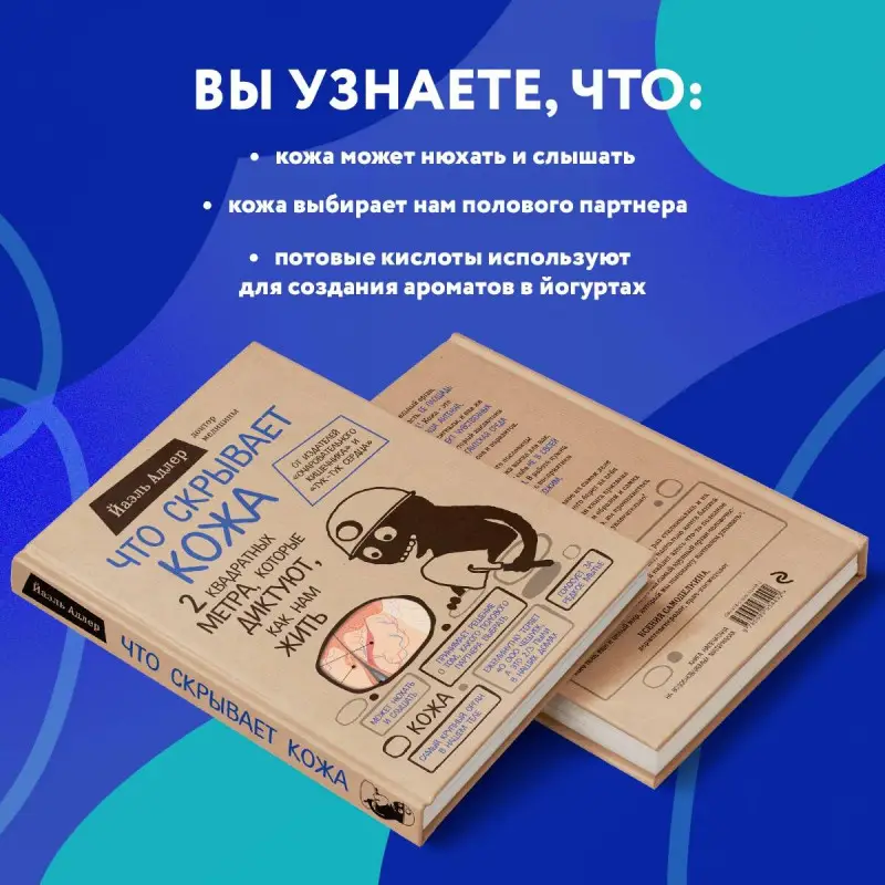 Уценка. Что скрывает кожа. 2 квадратных метра, которые диктуют, как нам жить