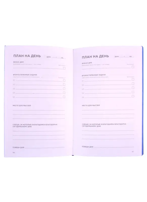 Саидов Михаил . Дневник эффективности