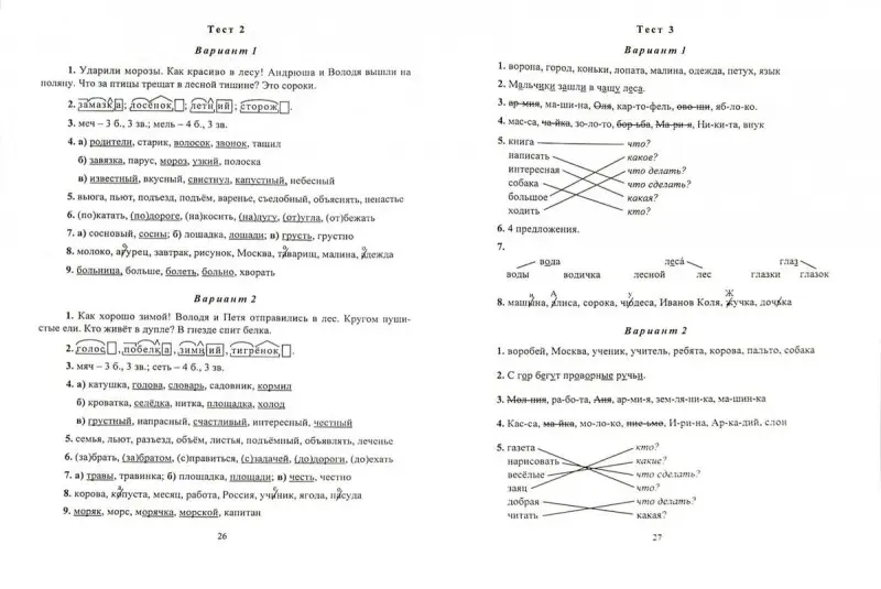 Волкова, Типаева: Русский язык. Математика. 2 класс. Итоговая тестовая проверка знаний. ФГОС