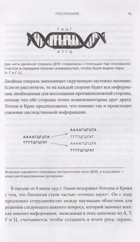 Чек Томас: Первая молекула: Как РНК раскрывает главные тайны биологии